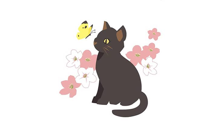 黒猫と蝶と桜