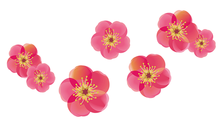 紅梅の花