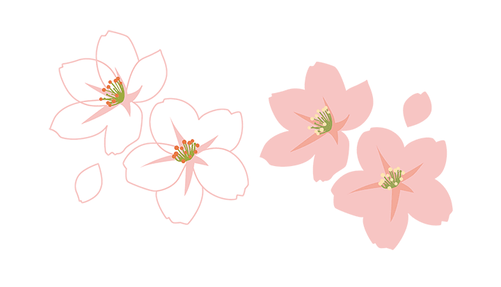 紅白の桜の花びら